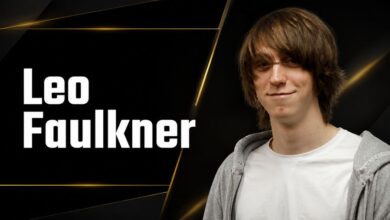 Leo Faulkner musician profile and career